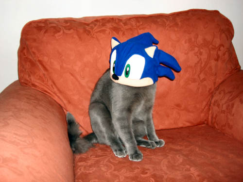 Or Sonic in a cat costume